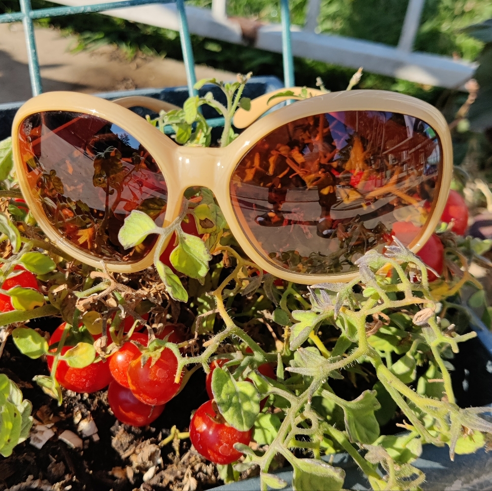 COCO Sunglasses Tints